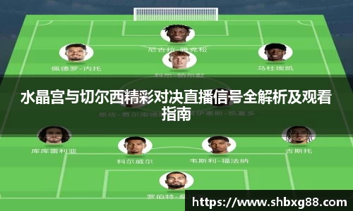 水晶宫与切尔西精彩对决直播信号全解析及观看指南